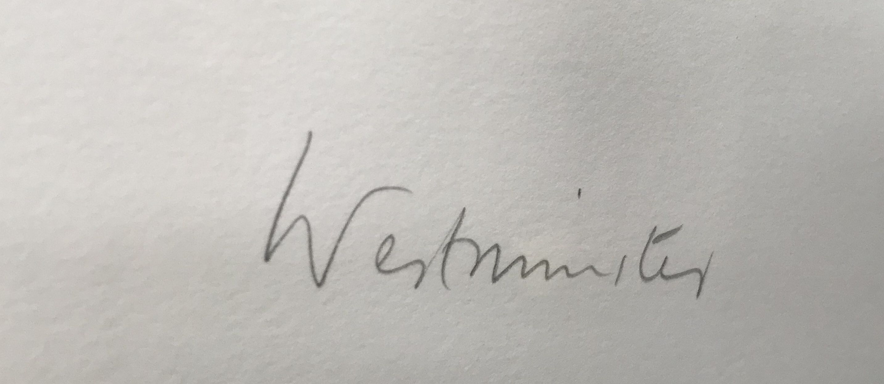 Niet of onleesbaar gesigneerd - Litho Londen Westminister, 1988, handgesigneerd kopen? Bied vanaf 1!