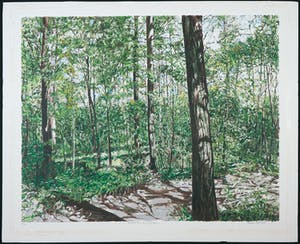 Karin Elfrink - Zeefdruk, Bomen Bos Koningsduin kopen? Bied vanaf 35!