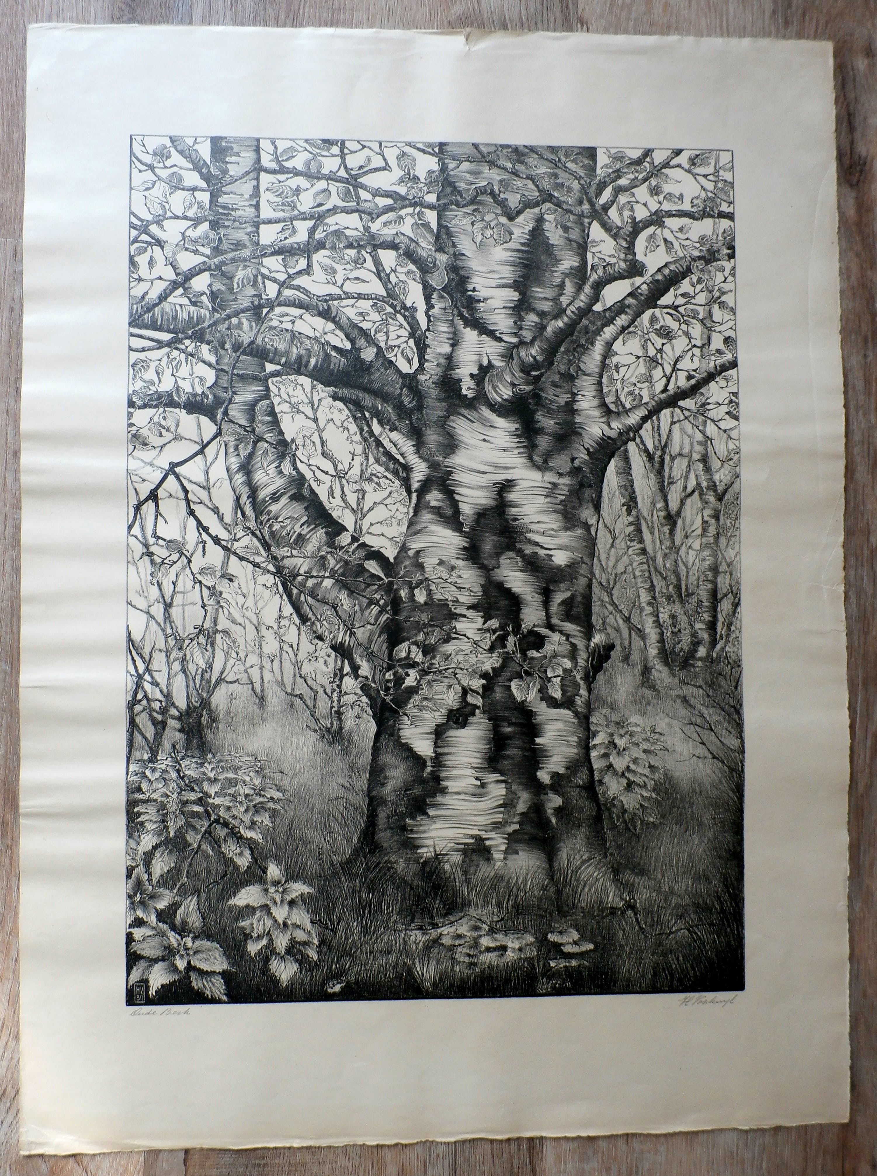 Henk Voskuyl - Litho: Oude Berk kopen? Bied vanaf 20!