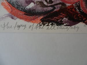 Alexander Schabracq - Zeefdruk, The fury of the almighty kopen? Bied vanaf 25!