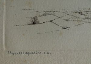 Hans Andringa - Ets , Op het nest van de klepperaar – oplage 37/40 - 1977 kopen? Bied vanaf 1!