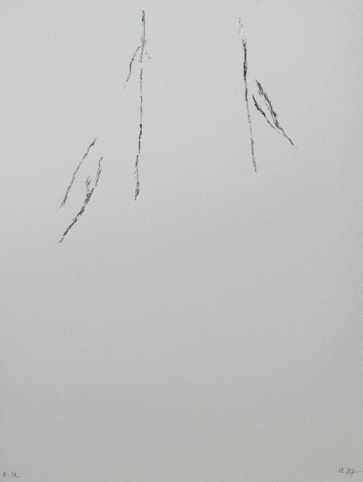 Armando - Der Baum verkocht voor € 1!