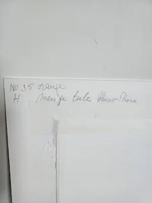 Niet of onleesbaar gesigneerd - Tiny koenen kopen? Bied vanaf 1!