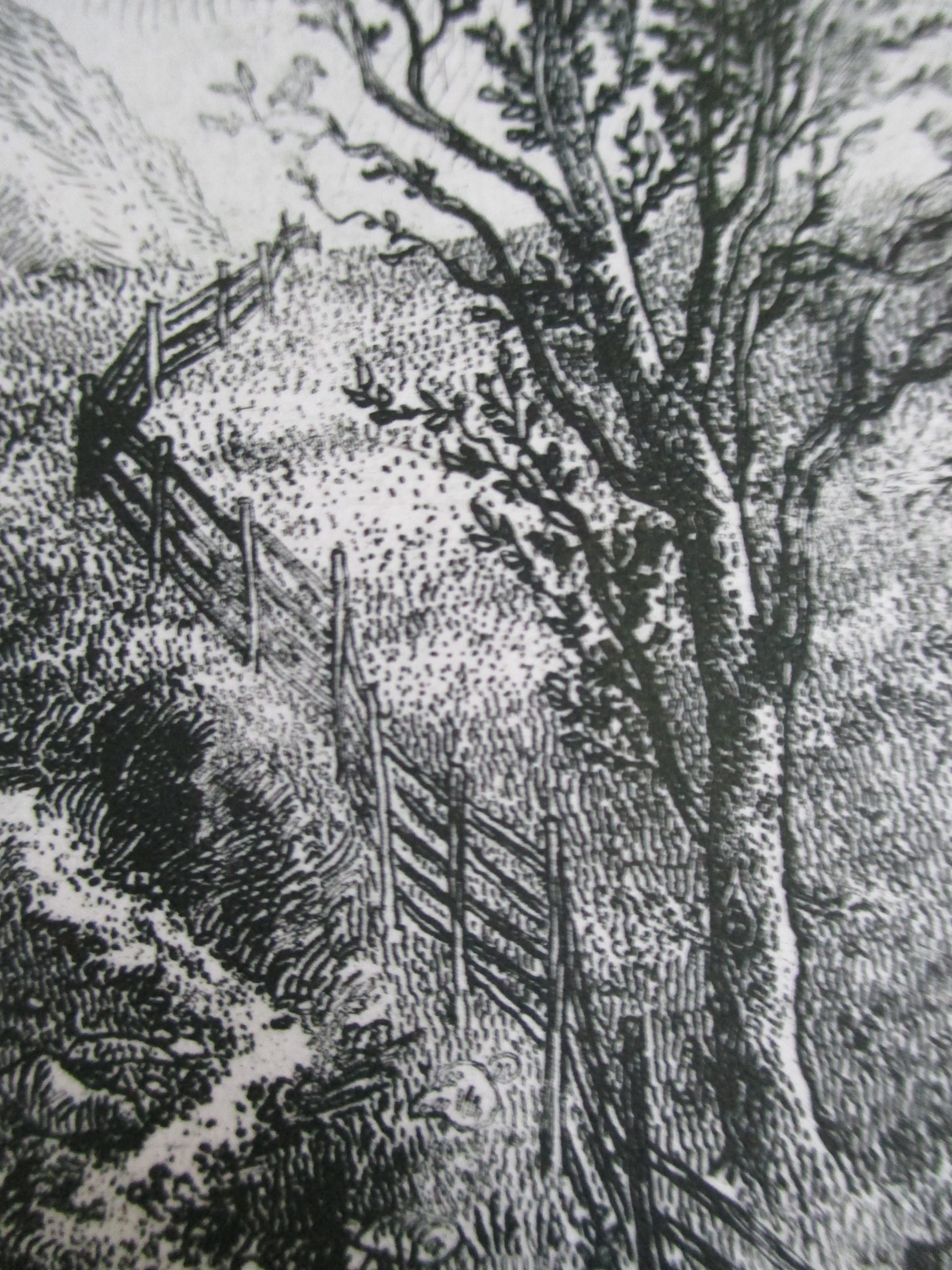 Arnold Gross - Ets landschap kopen? Bied vanaf 40!