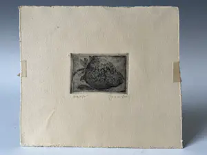 Jeanne Bieruma Oosting - 'Aardbei'. Mooie en zeldzame ets uit 1921! kopen? Bied vanaf 80!