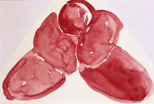 Ad van Riel - Fatty (4) kopen? Bied vanaf 10!