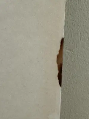 Rie Cramer - botanische vlinders prent kopen? Bied vanaf 25!