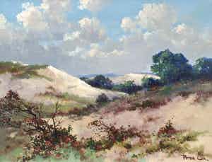 Peter Cox - C3000, Duinlandschap, olie op doek verkocht voor € 150!