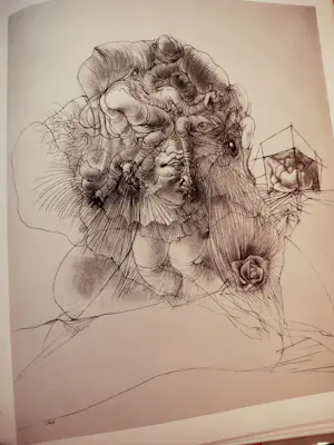 Hans Bellmer - The Drawings of Hans bellmer kopen? Bied vanaf 20!