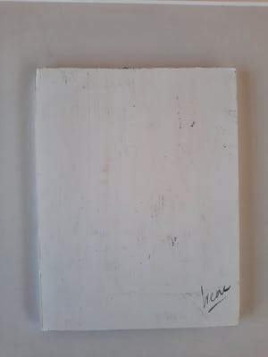 Irene van den Bos - Face 2 kopen? Bied vanaf 1!