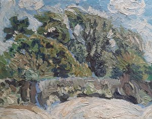 Peter Struycken - Landschap Curacao kopen? Bied vanaf 150!