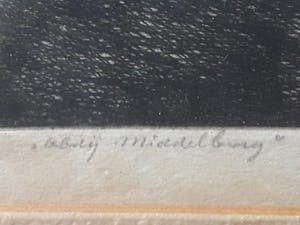 Laurens Jannis Braams - Abdij Middelburg. kopen? Bied vanaf 35!