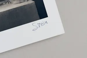 Vadim Stein - 'De laatste der Mohikanen' (2010) kopen? Bied vanaf 95!