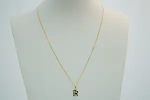 66 - Fijn 14 Krt geel gouden collier met daaraan een 14Krt letter R hangertje kopen? Bied vanaf 110!