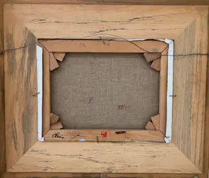 John Bulteel - Vogels kopen? Bied vanaf 150!