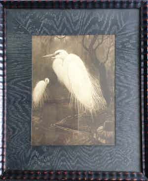 Henri Verstijnen - Twee Zilverreigers | Houtsnede van rond 1925 - ingelijst verkocht voor € 49!