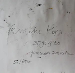 Rineke Kop - Zonder titel (95920) kopen? Bied vanaf 60!