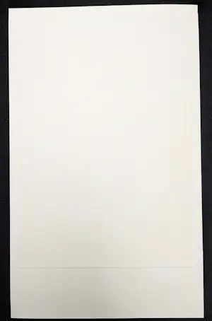 Ronald Ergo - Salomé kopen? Bied vanaf 39!