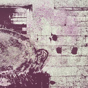 Wilfried Pas - Grote gesigneerde zeefdruk - 10/10 - Kleine oplage! - 1972 - Zelden aangeboden! kopen? Bied vanaf 65!