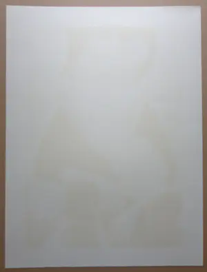 Jef van Tuerenhout - HALFNAAKTE VROUW / KLEURZEEFDRUK / 80x60cm / SIG kopen? Bied vanaf 95!