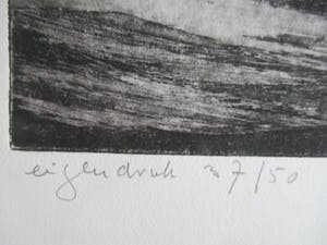 Jan Haas - Gesigneerde ets kopen? Bied vanaf 30!