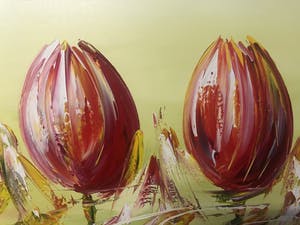 Gena - Tulpen kopen? Bied vanaf 200!