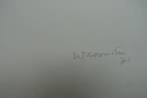 Metten Koornstra - KLEIN LANDSCHAP kopen? Bied vanaf 35!