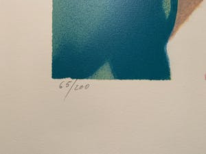 Freddy Defossez - Hauts de Mougins kopen? Bied vanaf 25!