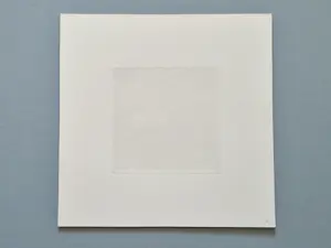 Joop Vegter - Fraaie kleine mezzotint "twee madeliefjes" - kleine oplage - potloodgesigneerd kopen? Bied vanaf 70!
