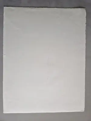 Frans Clement - Grote monochrome litho "Amsterdamse G.E.B. "splitskast" bep. oplage (100) kopen? Bied vanaf 34!