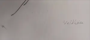 Aat Veldhoen - vrouw met kind kopen? Bied vanaf 30!