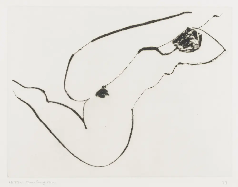 Peter van Hugten (1949)