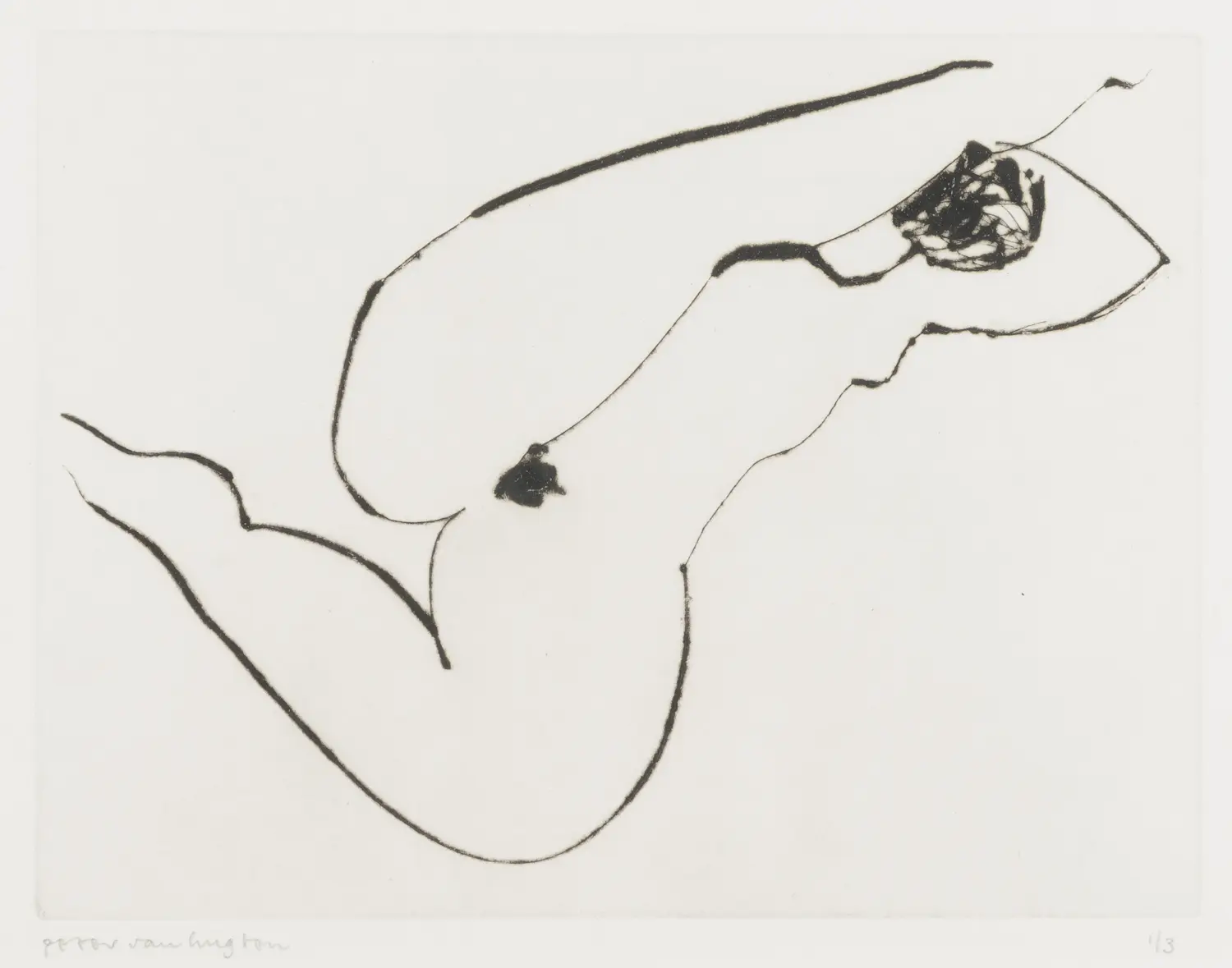 Peter van Hugten (1949)