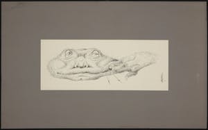 Melle Oldeboerrigter - Litho, Proefdruk voor nieuwjaarskaart kopen? Bied vanaf 35!