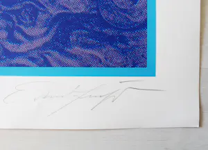 Ernst Fuchs - "Kopf eines Cherub" Siebdruck - Auflage von 200 - signiert kopen? Bied vanaf 280!