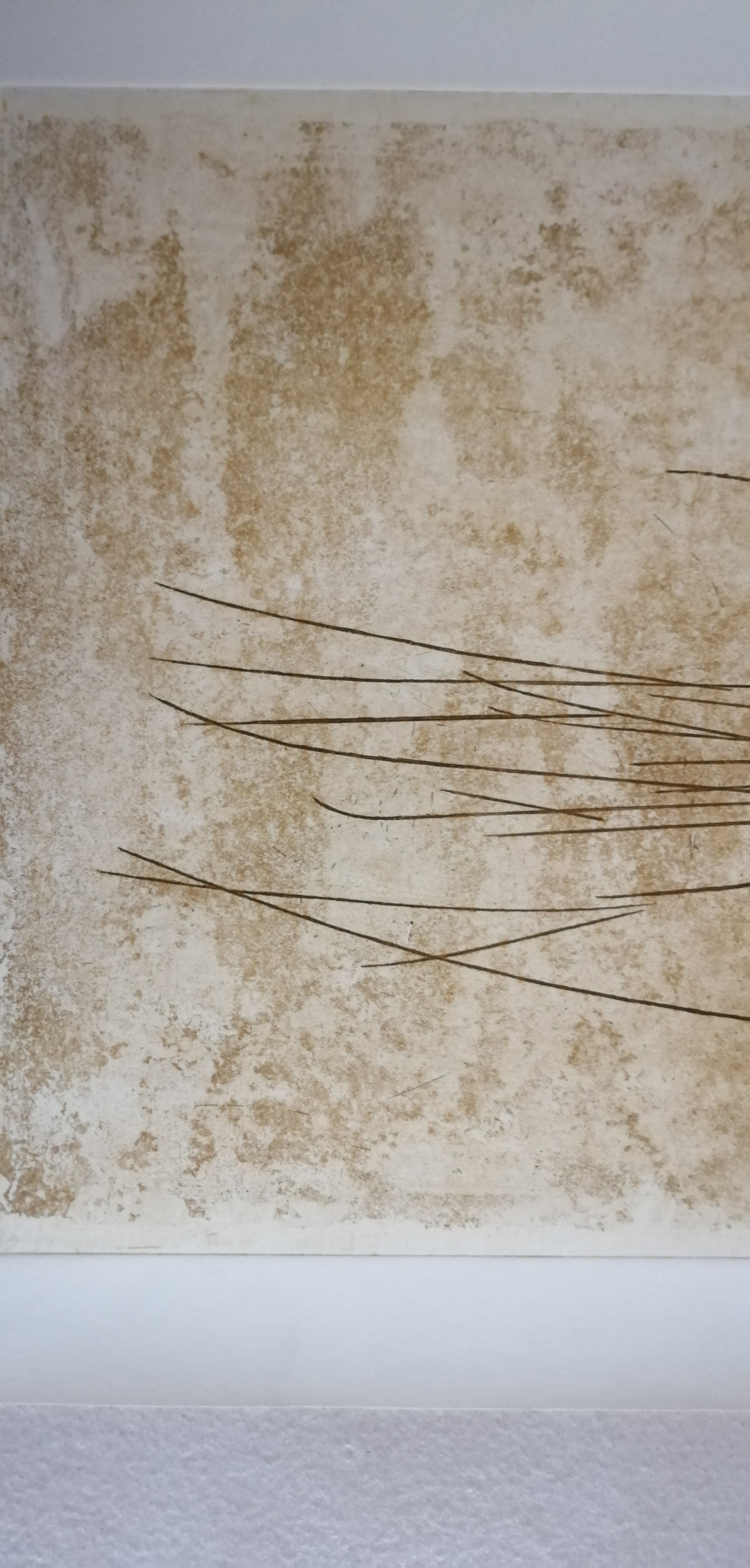 Wout van Heusden - Pensée kopen? Bied vanaf 30!