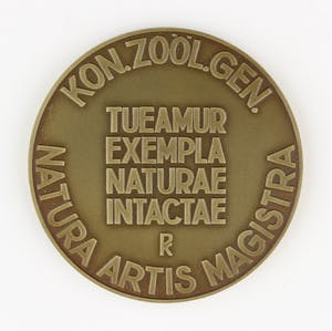 Tjipke visser - Bronzen penning: Artis, 1930 kopen? Bied vanaf 125!