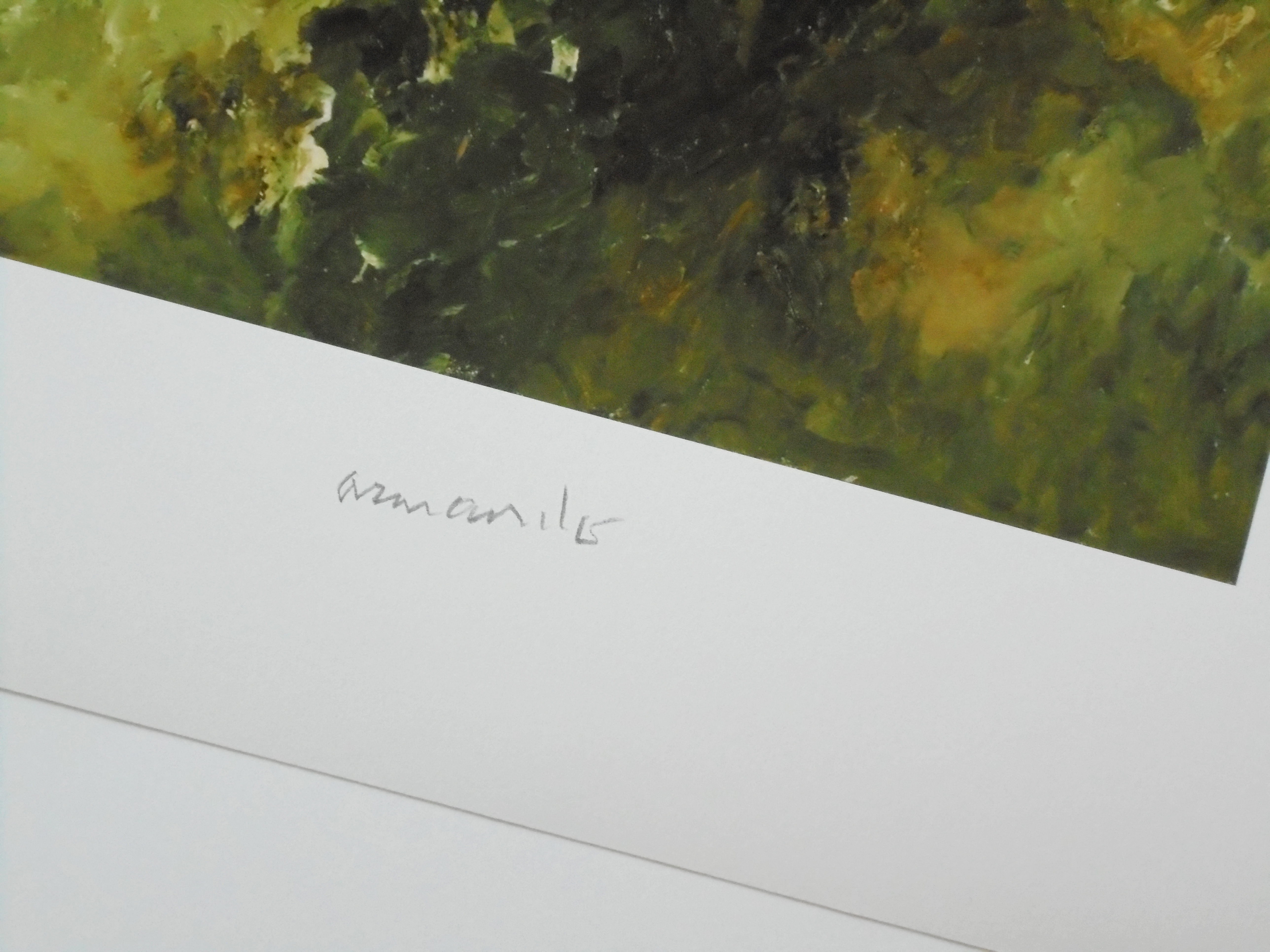 Armando - Der Zaun - 2017 - handgesigneerd en genummerd - oplage slechts 25 kopen? Bied vanaf 155!