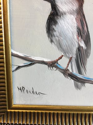 Henk Poeder - Huis mus kopen? Bied vanaf 55!