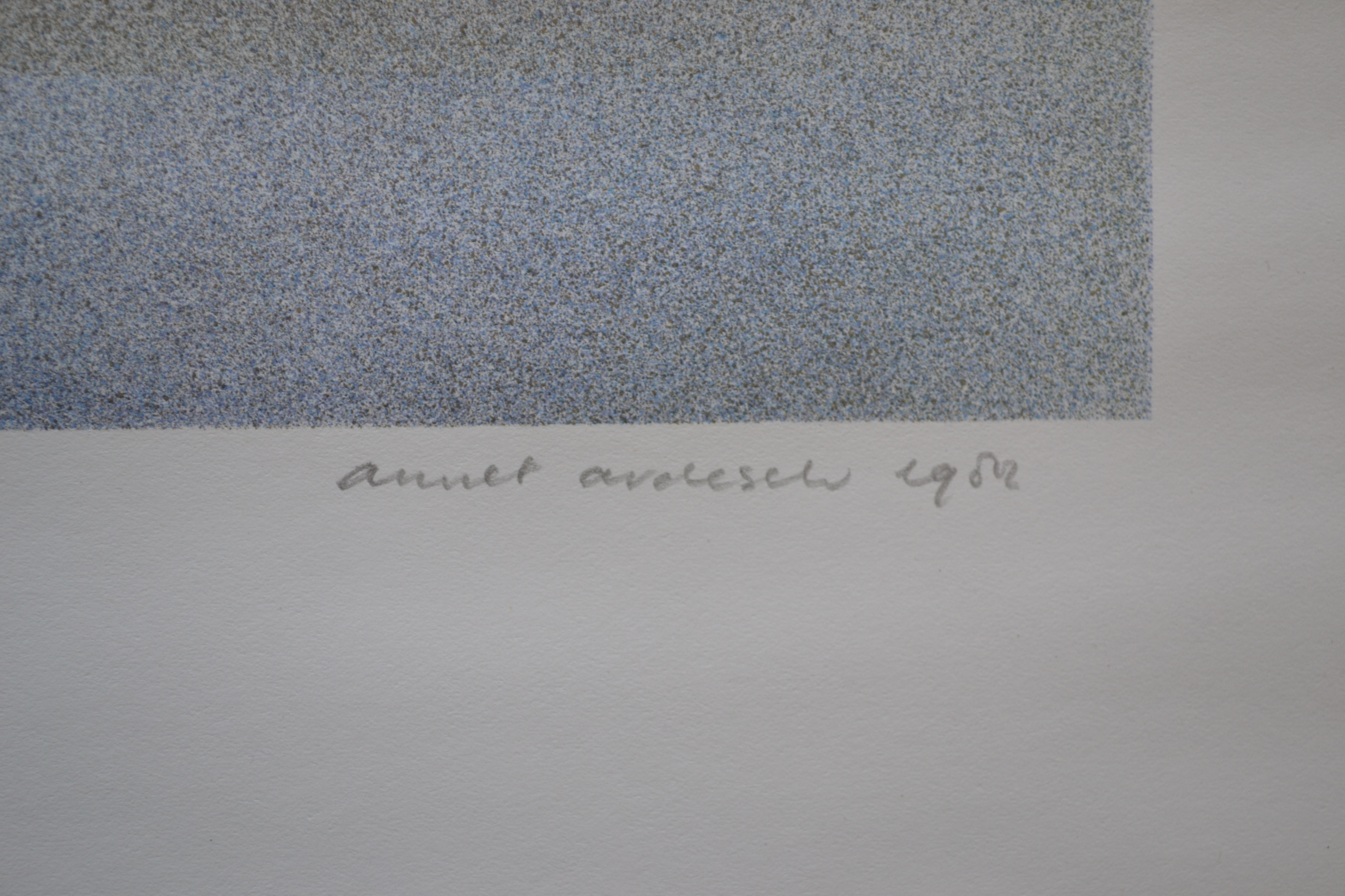 Annet Ardesch - Spritzdruk - "Kraaienkust" - handgesigneerd kopen? Bied vanaf 1!