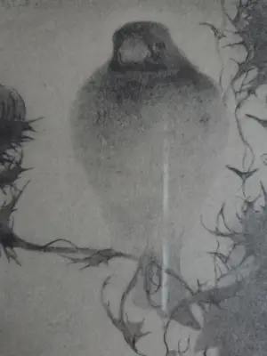 Jan Mankes - Vogeltje op tak. Ingelijst. kopen? Bied vanaf 99!