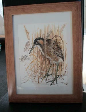 Ari Stolk - Roerdomp in het riet kopen? Bied vanaf 125!