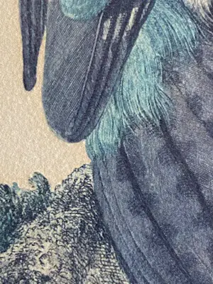 Jan Christiaan Sepp - Fraaie litho naar Jan Christiaan Sepp & Nozeman 18e eeuw kopen? Bied vanaf 40!