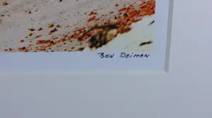 Ben Deiman - Fotografie, Serendipity I - Ingelijst kaufen? Bieten Sie von 25!
