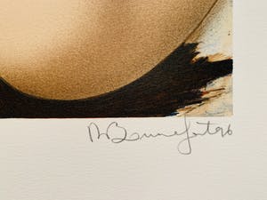 Alain Bonnefoit - Suite Nus: Cheveux Noirs kopen? Bied vanaf 25!