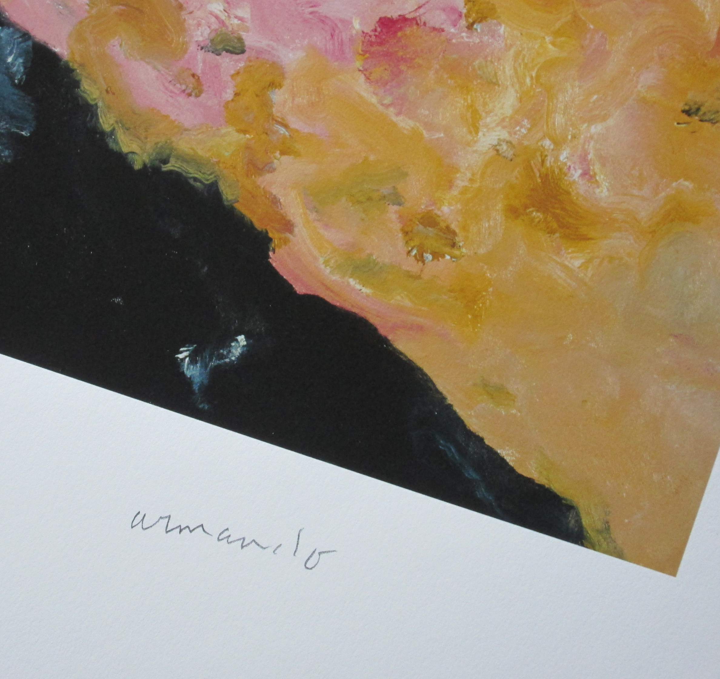 Armando - Der Zaun 2016 - handgesigneerde en genummerde Giclèe - oplage 30 ex kopen? Bied vanaf 159!