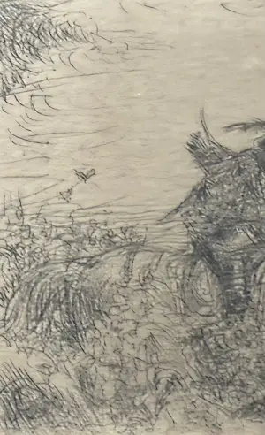 Marius Bauer - handgesigneerde ets | 'De ruiter' | 1897 (INGELIJST) kopen? Bied vanaf 200!