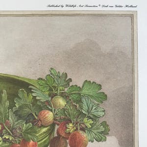 Dirk van Gelder - Gesigneerde print - 1977 - oplage: 5/250 kopen? Bied vanaf 55!