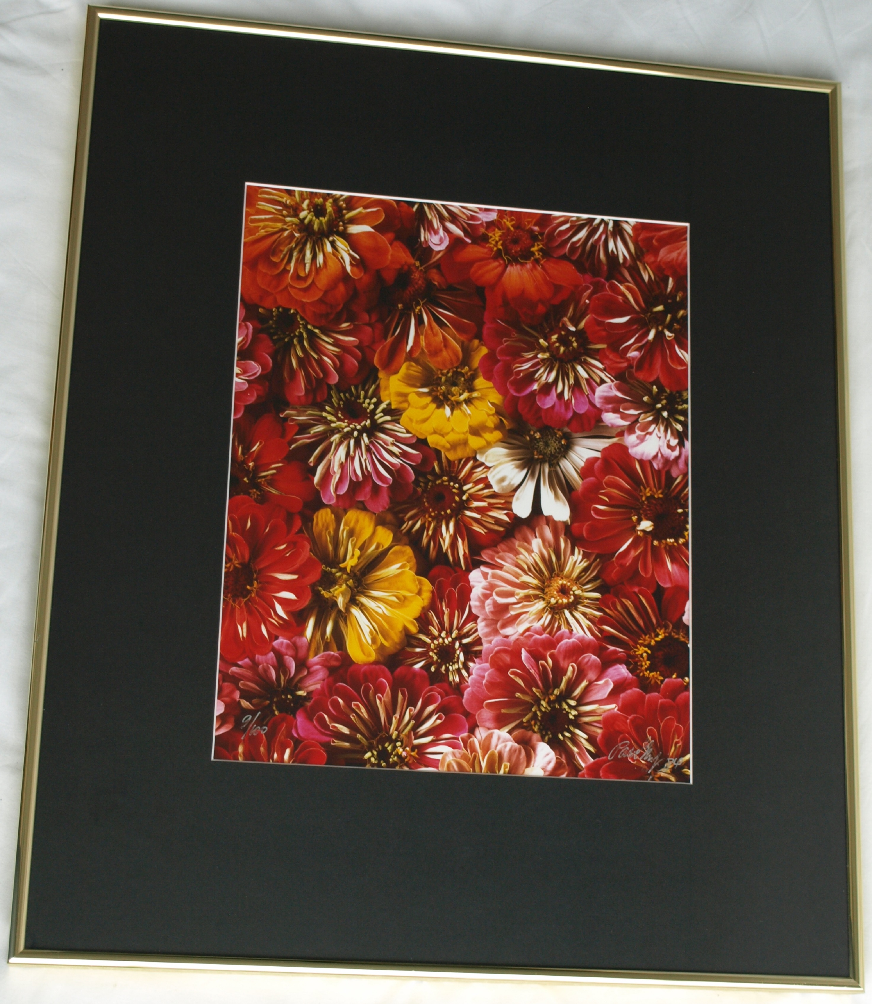 Paul Huf - Foto , Flowers , Bloemen – gesigneerd & ingelijst - 1984 - 60 x 50 cm kopen? Bied vanaf 75!
