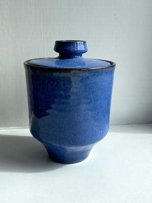 Pottenbakkerij 't Bolwerk - dekselpot ontworpen door Jan van Ham kopen? Bied vanaf 10!